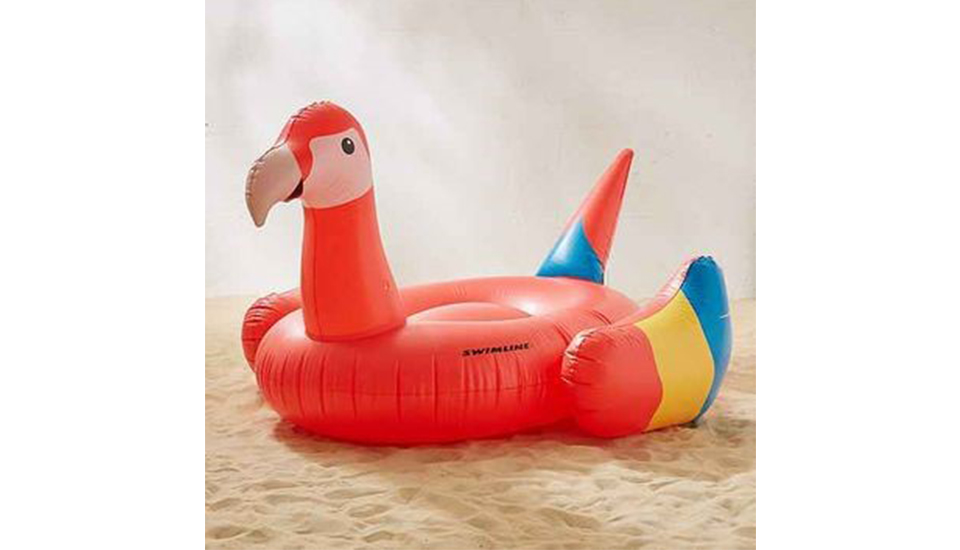 parrot pool float