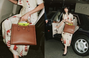 Elle Yes! Gucci's New Diana Bag Revisits An Old Classic With A