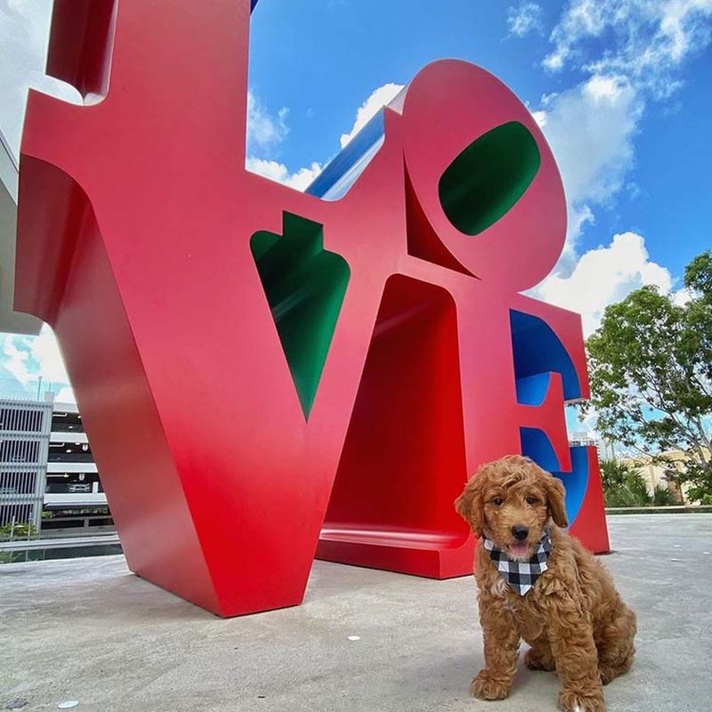 Love - Dog Friendly - Aventura Mall