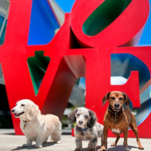Dogs Love Sculpture - Aventura Mall