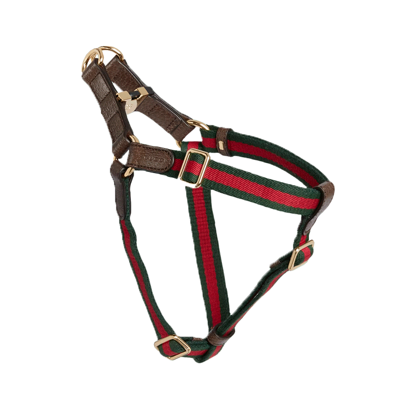 Gucci pet harness