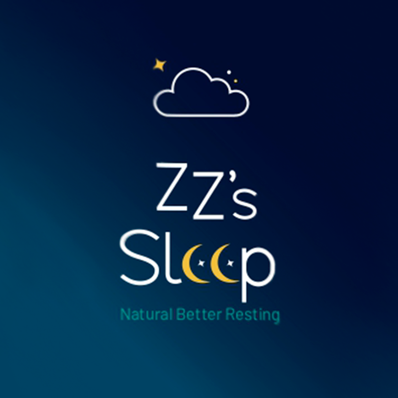Zz Sleep Logo