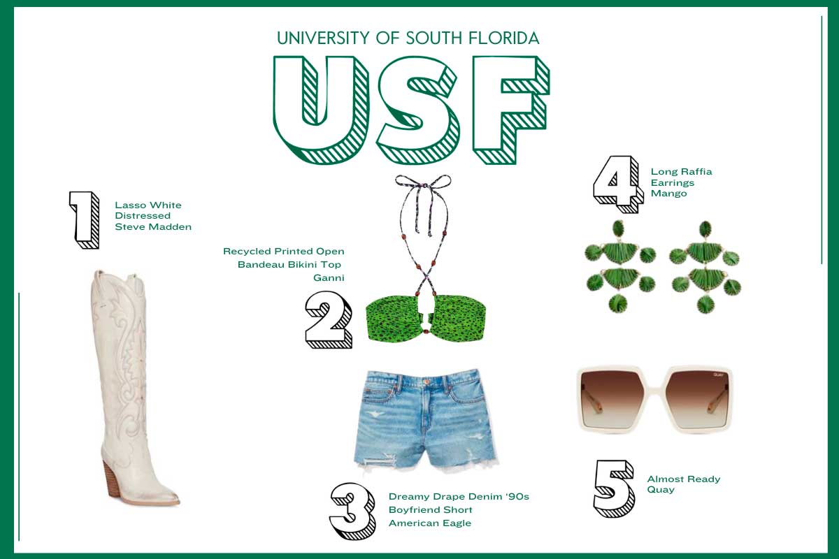 university of south florida looks