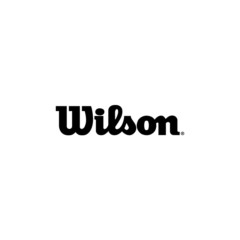 Wilson logo