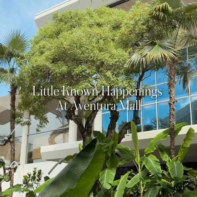 Instagram aventura mall slide 2